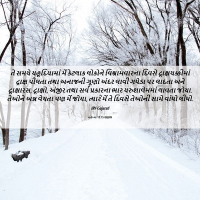 Picture 06 - નહેમ્યા 13:15 GUJIRV - તે સમયે - Bible Verse Picture