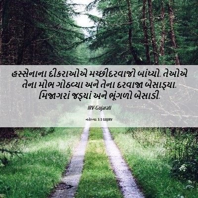 Picture 06 - નહેમ્યા 3:3 GUJIRV - હસ્સેનાના દીકરાઓએ - Bible Verse Picture