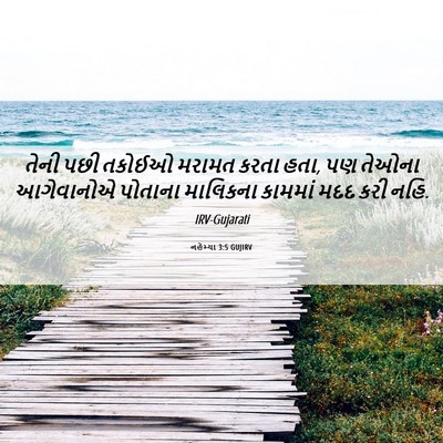 Picture 06 - નહેમ્યા 3:5 GUJIRV - તેની પછી તકોઈઓ - Bible Verse Picture