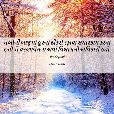 Picture 06 - નહેમ્યા 3:9 GUJIRV - તેઓની બાજુમાં - Bible Verse Picture
