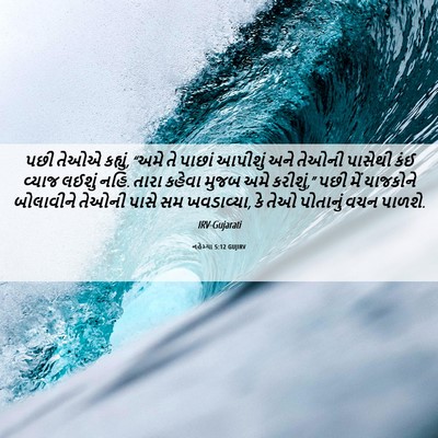 Picture 06 - નહેમ્યા 5:12 GUJIRV - પછી તેઓએ કહ્યું, - Bible Verse Picture