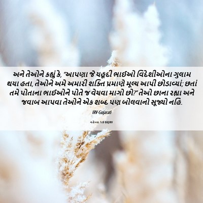 Picture 06 - નહેમ્યા 5:8 GUJIRV - અને તેઓને કહ્યું - Bible Verse Picture