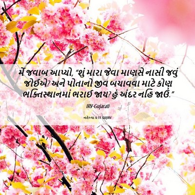 Picture 06 - નહેમ્યા 6:11 GUJIRV - મેં જવાબ આપ્યો, - Bible Verse Picture