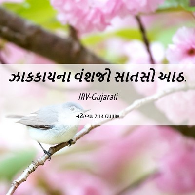 Picture 06 - નહેમ્યા 7:14 GUJIRV - ઝાકકાયના વંશજો - Bible Verse Picture