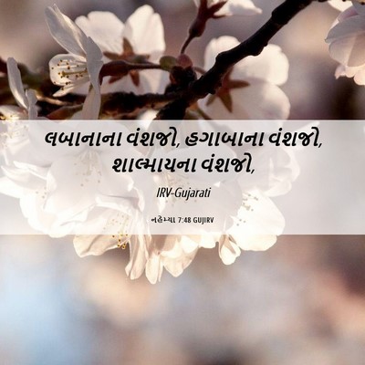 Picture 06 - નહેમ્યા 7:48 GUJIRV - લબાનાના વંશજો, - Bible Verse Picture