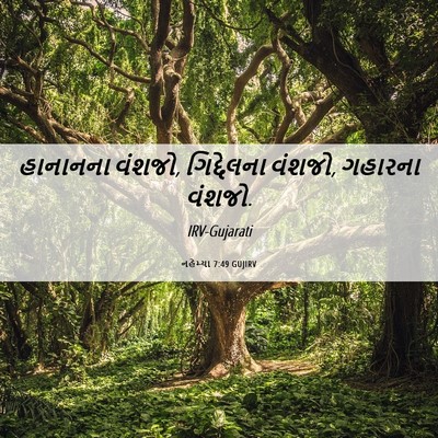 Picture 06 - નહેમ્યા 7:49 GUJIRV - હાનાનના વંશજો, - Bible Verse Picture