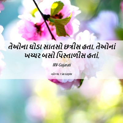 Picture 06 - નહેમ્યા 7:68 GUJIRV - તેઓના ઘોડા સાતસો - Bible Verse Picture