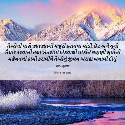 Picture 06 - નિર્ગમન 1:14 GUJIRV - તેઓની પાસે - Bible Verse Picture