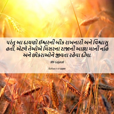 Picture 06 - નિર્ગમન 1:17 GUJIRV - પરંતુ આ દાયણો - Bible Verse Picture