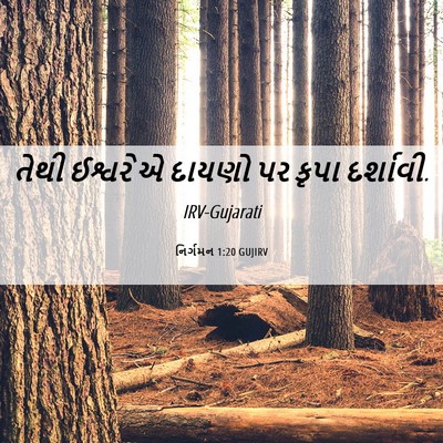 Picture 06 - નિર્ગમન 1:20 GUJIRV - તેથી ઈશ્વરે એ - Bible Verse Picture