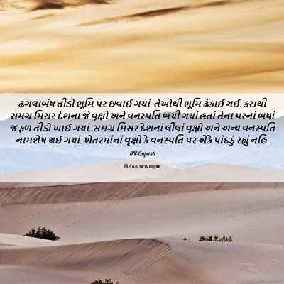 Picture 06 - નિર્ગમન 10:15 GUJIRV - ઢગલાબંધ તીડો ભૂમિ - Bible Verse Picture