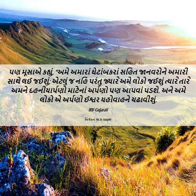 Picture 06 - નિર્ગમન 10:25 GUJIRV - પણ મૂસાએ કહ્યું, - Bible Verse Picture