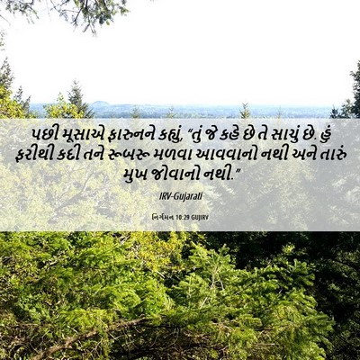 Picture 06 - નિર્ગમન 10:29 GUJIRV - પછી મૂસાએ ફારુનને - Bible Verse Picture