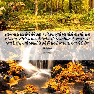 Picture 06 - નિર્ગમન 10:7 GUJIRV - ફારુનના સરદારોએ - Bible Verse Picture