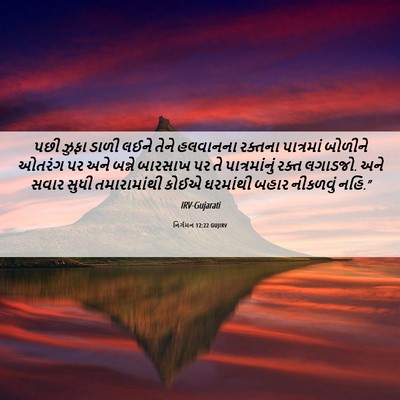 Picture 06 - નિર્ગમન 12:22 GUJIRV - પછી ઝુફા ડાળી લઈને - Bible Verse Picture