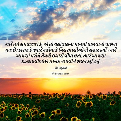 Picture 06 - નિર્ગમન 12:27 GUJIRV - ત્યારે તમે - Bible Verse Picture