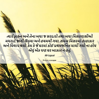 Picture 06 - નિર્ગમન 12:30 GUJIRV - ત્યારે ફારુન અને - Bible Verse Picture