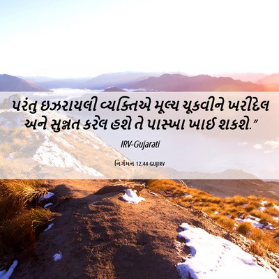 Picture 06 - નિર્ગમન 12:44 GUJIRV - પરંતુ ઇઝરાયલી - Bible Verse Picture