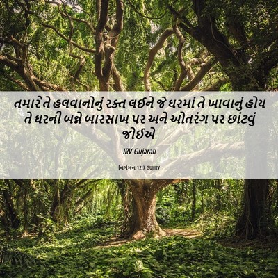 Picture 06 - નિર્ગમન 12:7 GUJIRV - તમારે તે - Bible Verse Picture