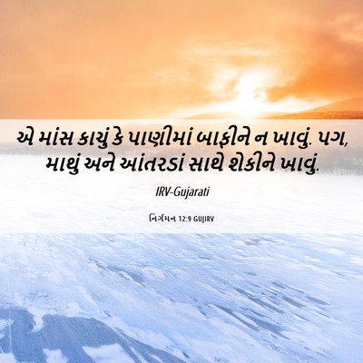 Picture 06 - નિર્ગમન 12:9 GUJIRV - એ માંસ કાચું કે - Bible Verse Picture