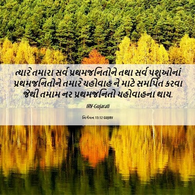 Picture 06 - નિર્ગમન 13:12 GUJIRV - ત્યારે તમારા સર્વ - Bible Verse Picture