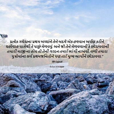 Picture 06 - નિર્ગમન 13:13 GUJIRV - પ્રત્યેક ગધેડાના - Bible Verse Picture