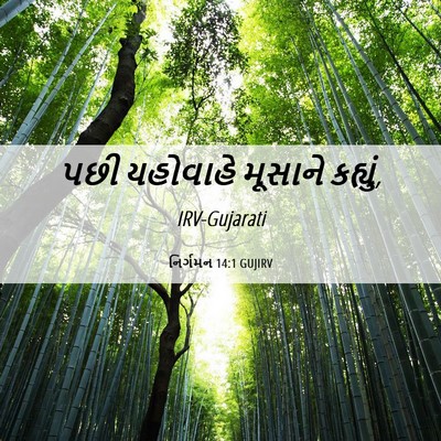 Picture 06 - નિર્ગમન 14:1 GUJIRV - પછી યહોવાહે - Bible Verse Picture
