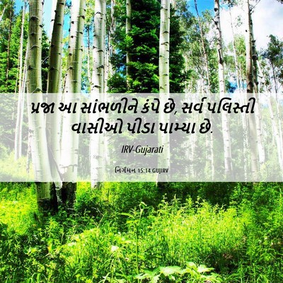 Picture 06 - નિર્ગમન 15:14 GUJIRV - પ્રજા આ સાંભળીને - Bible Verse Picture