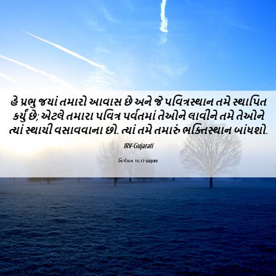 Picture 06 - નિર્ગમન 15:17 GUJIRV - હે પ્રભુ જયાં - Bible Verse Picture
