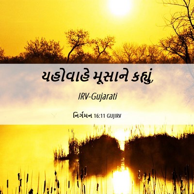 Picture 06 - નિર્ગમન 16:11 GUJIRV - યહોવાહે મૂસાને - Bible Verse Picture
