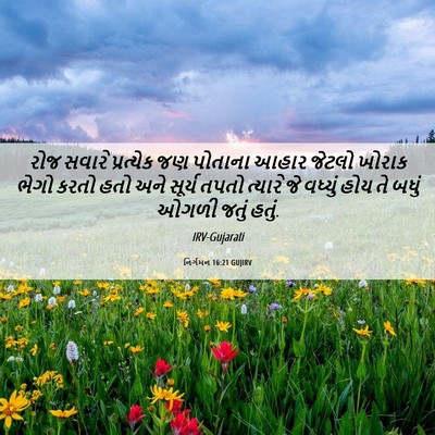 Picture 06 - નિર્ગમન 16:21 GUJIRV - રોજ સવારે - Bible Verse Picture