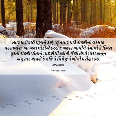 Picture 06 - નિર્ગમન 16:4 GUJIRV - ત્યારે યહોવાહે - Bible Verse Picture