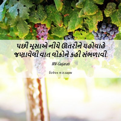 Picture 06 - નિર્ગમન 19:25 GUJIRV - પછી મૂસાએ નીચે - Bible Verse Picture
