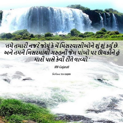Picture 06 - નિર્ગમન 19:4 GUJIRV - ‘તમે તમારી નજરે - Bible Verse Picture