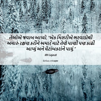Picture 06 - નિર્ગમન 2:19 GUJIRV - તેઓએ જવાબ આપ્યો, - Bible Verse Picture