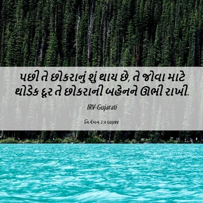 Picture 06 - નિર્ગમન 2:4 GUJIRV - પછી તે છોકરાનું - Bible Verse Picture
