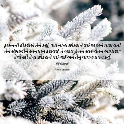 Picture 06 - નિર્ગમન 2:9 GUJIRV - ફારુનની દીકરીએ - Bible Verse Picture