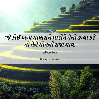 Picture 06 - નિર્ગમન 21:12 GUJIRV - “જે કોઈ અન્ય - Bible Verse Picture