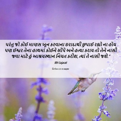 Picture 06 - નિર્ગમન 21:13 GUJIRV - પરંતુ જો કોઈ માણસ - Bible Verse Picture