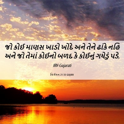 Picture 06 - નિર્ગમન 21:33 GUJIRV - જો કોઈ માણસ ખાડો - Bible Verse Picture