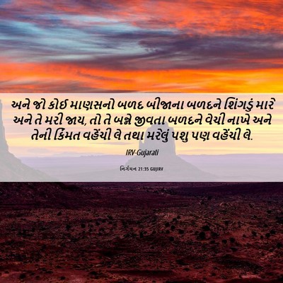 Picture 06 - નિર્ગમન 21:35 GUJIRV - અને જો કોઈ માણસનો - Bible Verse Picture