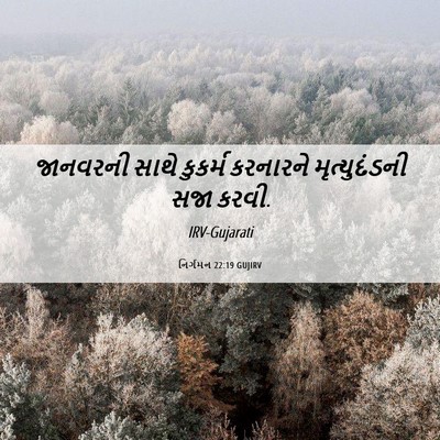 Picture 06 - નિર્ગમન 22:19 GUJIRV - જાનવરની સાથે - Bible Verse Picture