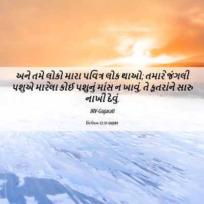 Picture 06 - નિર્ગમન 22:31 GUJIRV - અને તમે લોકો મારા - Bible Verse Picture