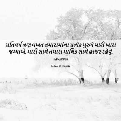 Picture 06 - નિર્ગમન 23:17 GUJIRV - પ્રતિવર્ષ ત્રણ - Bible Verse Picture