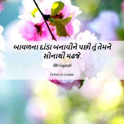 Picture 06 - નિર્ગમન 25:13 GUJIRV - બાવળના દાંડા - Bible Verse Picture