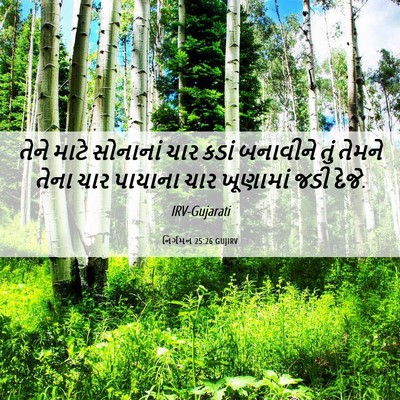 Picture 06 - નિર્ગમન 25:26 GUJIRV - તેને માટે સોનાનાં - Bible Verse Picture