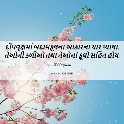 Picture 06 - નિર્ગમન 25:34 GUJIRV - દીપવૃક્ષમાં - Bible Verse Picture