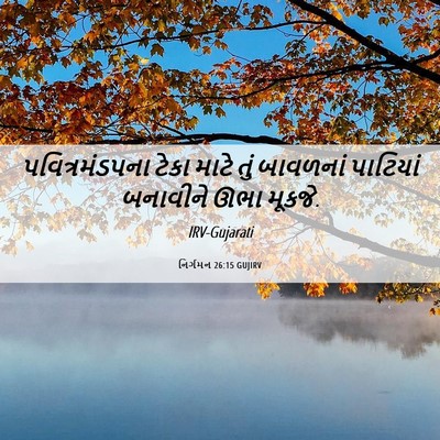 Picture 06 - નિર્ગમન 26:15 GUJIRV - પવિત્રમંડપના ટેકા - Bible Verse Picture