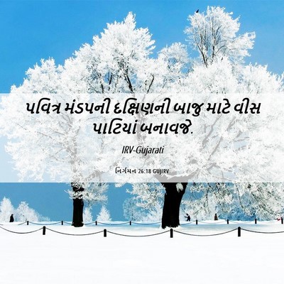 Picture 06 - નિર્ગમન 26:18 GUJIRV - પવિત્ર મંડપની - Bible Verse Picture