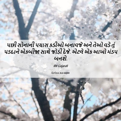 Picture 06 - નિર્ગમન 26:6 GUJIRV - પછી સોનાની પચાસ - Bible Verse Picture